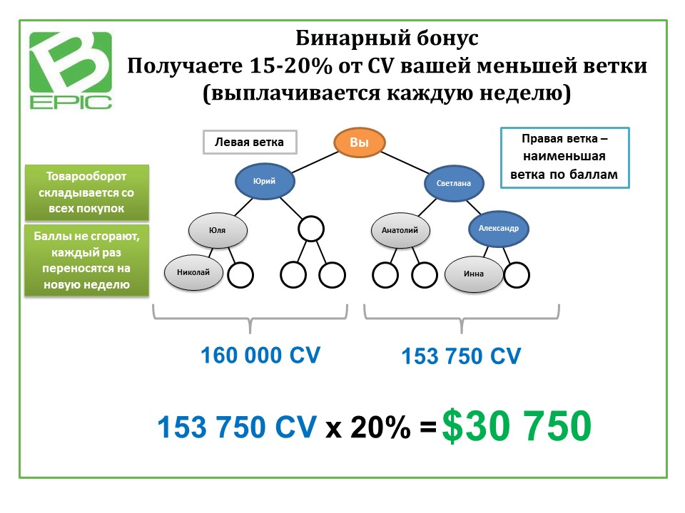 Бинарный это. Бепик маркетинг план. Маркетинг план компании Биэпик. Бинарный бонус. Компания Бэпик.